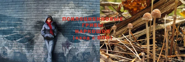 jwh Белоозёрский