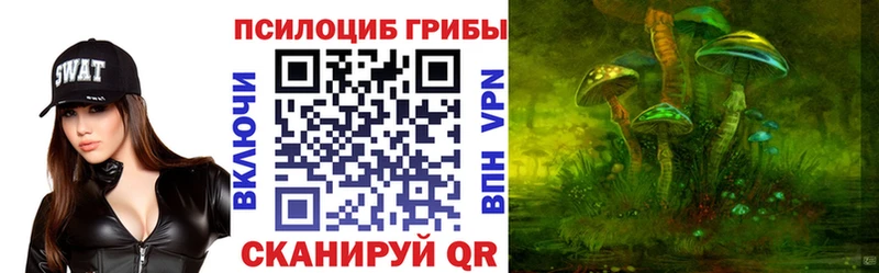 Галлюциногенные грибы Psilocybine cubensis Беслан